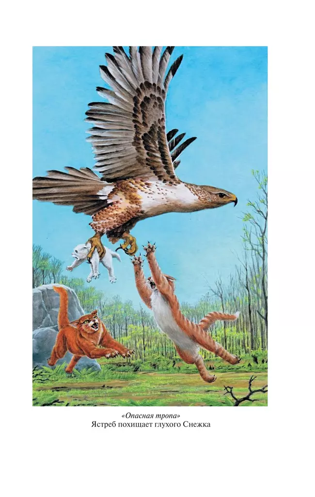 Коты-воители. Золотая коллекция. Опасная тропа. Битва за лес. (новое оформление). Хантер. 14