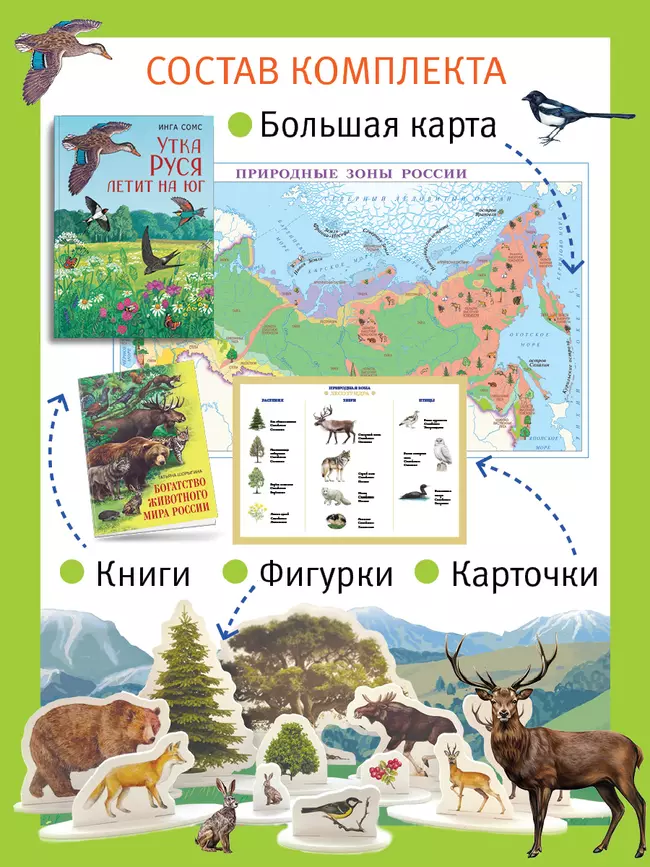 Путешествие по России утки Руси. Настольная игра 3 Путешествие по России утки Руси. Настольная игра 3