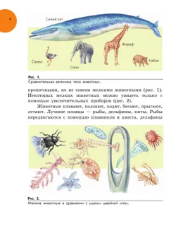 Биология. Животные. 8 класс. Учебник (для обучающихся с интеллектуальными нарушениями) 2