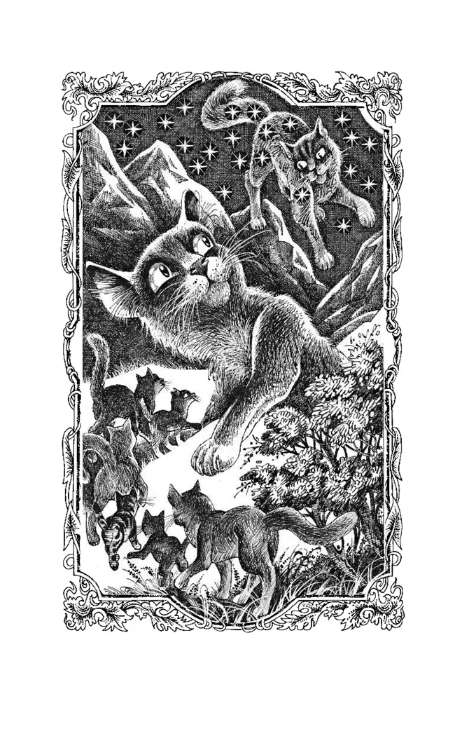 Коты-воители. Цикл "Видение теней". Приключения Ольхолапа 12 Коты-воители. Цикл "Видение теней". Приключения Ольхолапа 12