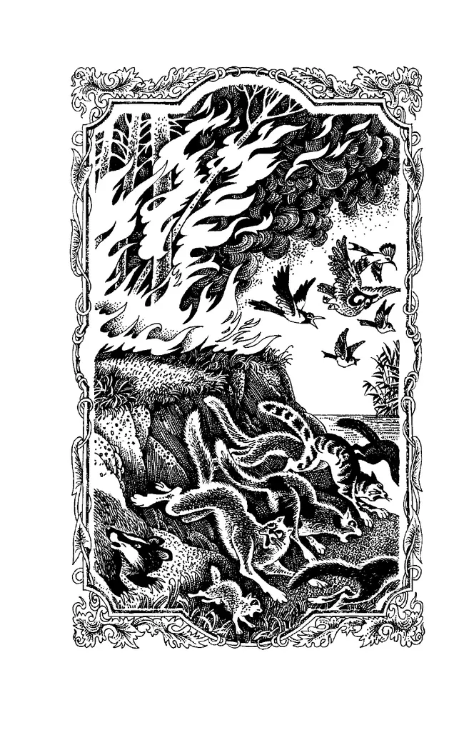 Коты-воители. Цикл "Воители". Бушующая стихия. Хантер. 11