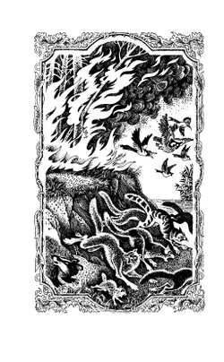 Коты-воители. Цикл "Воители". Бушующая стихия. Хантер. 11