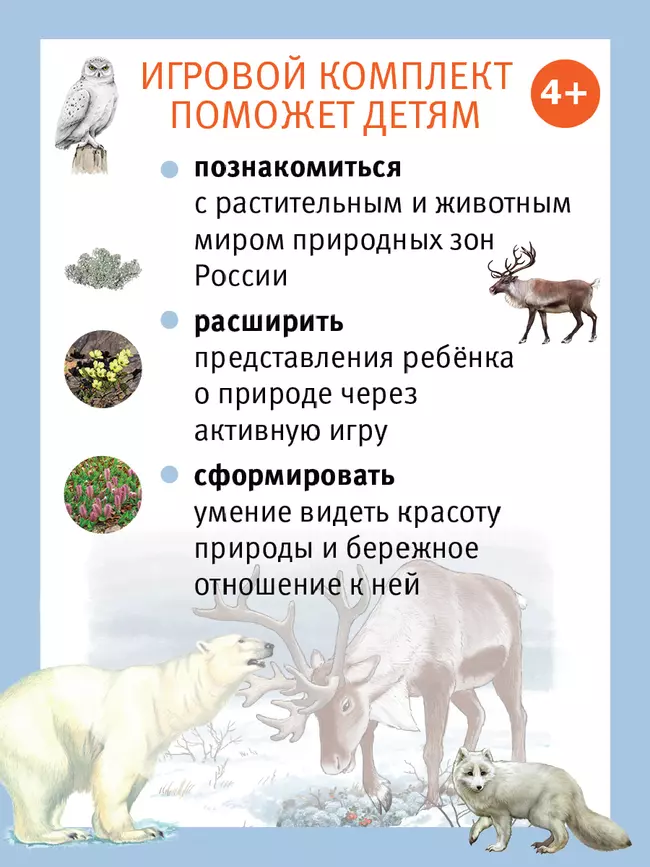 Путешествие по России утки Руси. Настольная игра 47 Путешествие по России утки Руси. Настольная игра 47