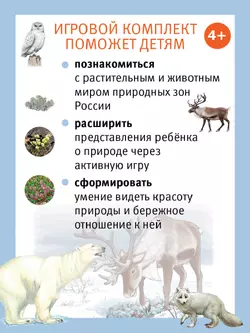 Путешествие по России утки Руси. Настольная игра 47