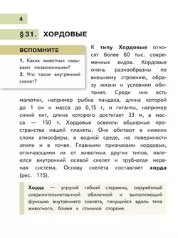 Биология. 8 класс. Учебное пособие. В 4 ч. Часть 3 (для слабовидящих обучающихся) 41