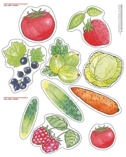 Игровой развивающий набор серии «Игралочка. Математика для детей 3-4 лет» на магнитной основе 15