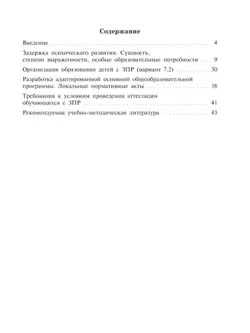 Дети с задержкой психического развития 7