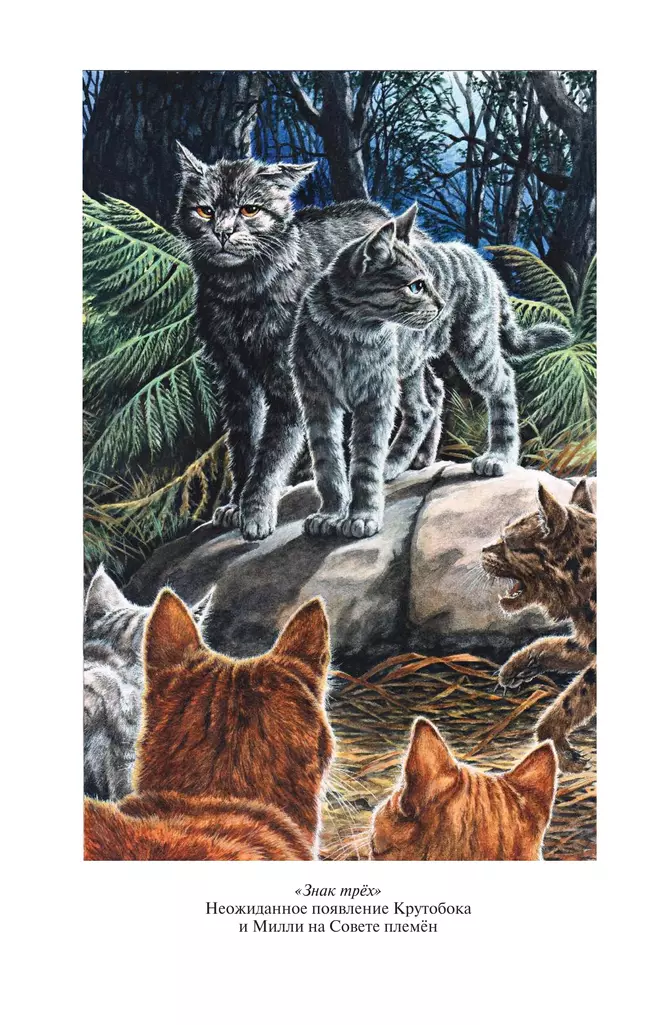 Коты-воители. Золотая коллекция. Знак трех. Темная река. Хантер. 18