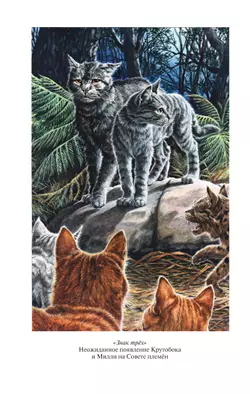 Коты-воители. Золотая коллекция. Знак трех. Темная река. Хантер. 18