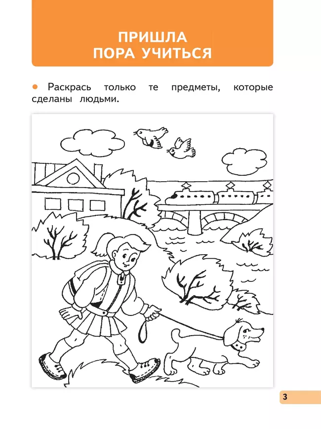 Окружающий мир. 1 класс. Рабочая тетрадь. В 2 частях. Часть 1 17