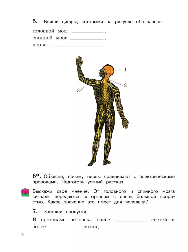 Окружающий мир. 3 класс. Рабочая тетрадь. В 2 частях. Часть 2 23 Окружающий мир. 3 класс. Рабочая тетрадь. В 2 частях. Часть 2 23