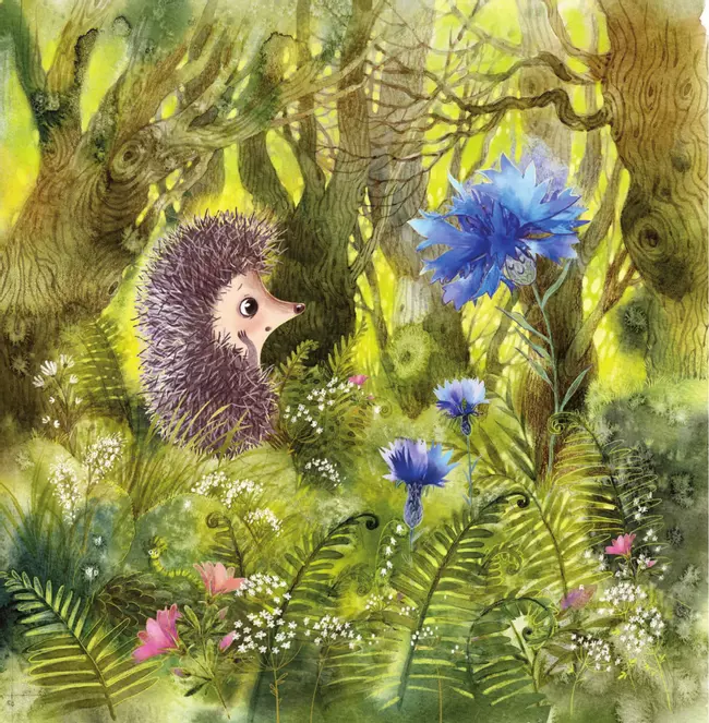 Ёжик и море. Сказки 16