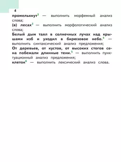Русский язык. 6 класс. Учебное пособие. В 5 ч. Часть 2 (для слабовидящих обучающихся) 24