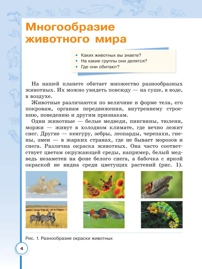 Биология. 8 класс. Учебное пособие (для обучающихся с интеллектуальными нарушениями) 21