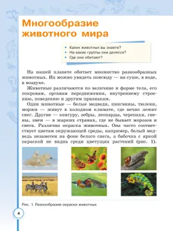 Биология. 8 класс. Учебное пособие (для обучающихся с интеллектуальными нарушениями) 21