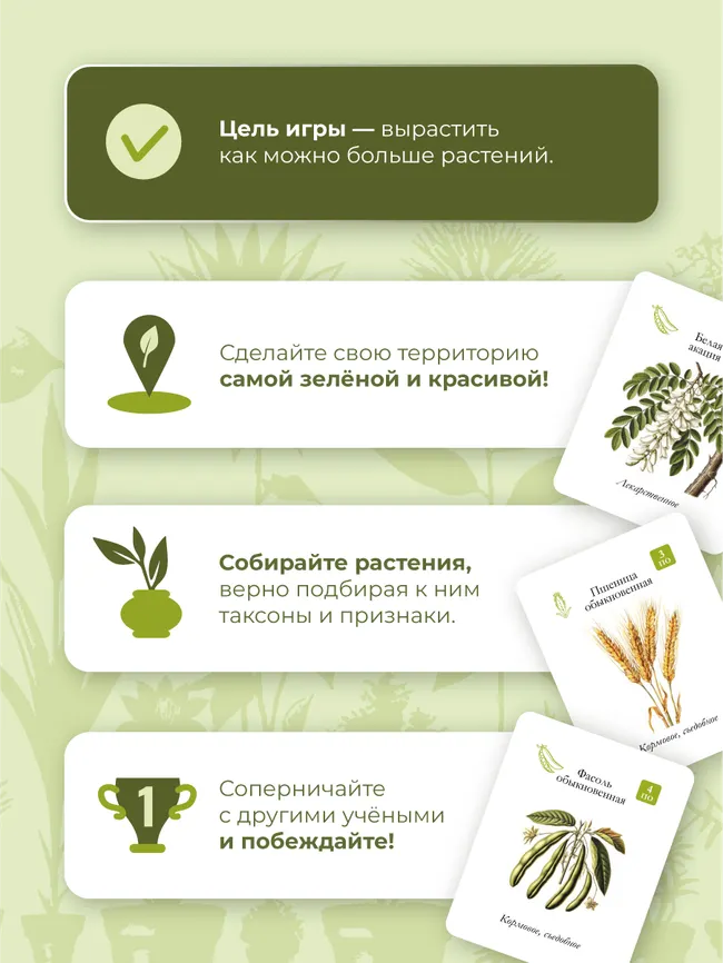 Флора. Настольная игра 12