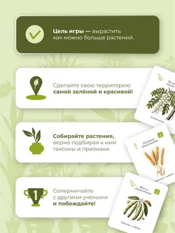 Флора. Настольная игра 12