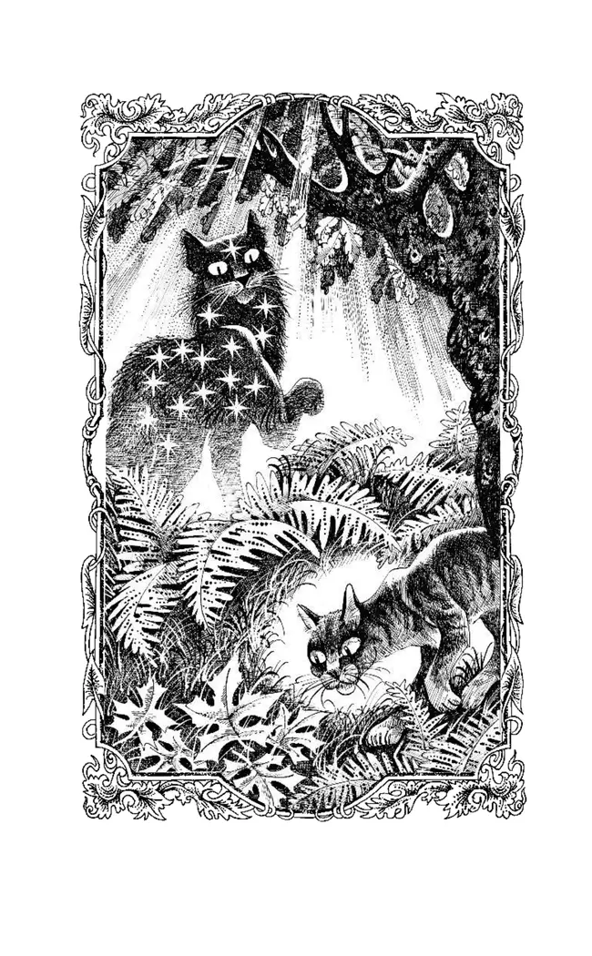 Коты-воители. Цикл "Видение теней". Гроза и тень. 22