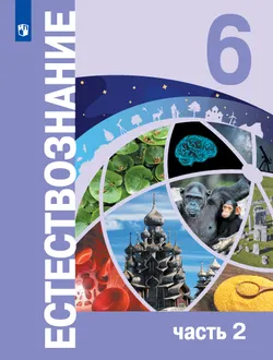 Естествознание. 6 класс. В 2 ч. Часть 2 1