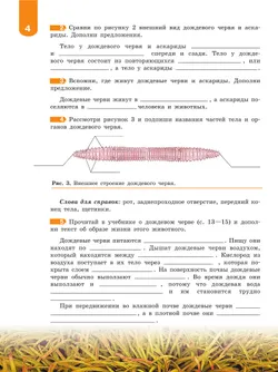 Биология. Животные. 8 класс. Рабочая тетрадь (для обучающихся с интеллектуальными нарушениями) 5