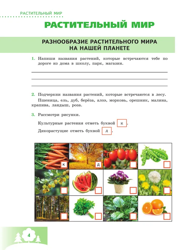 Природоведение. 6 класс. Рабочая тетрадь (для обучающихся с интеллектуальными нарушениями) 12