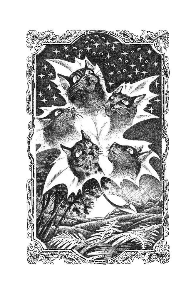 Коты-воители. Цикл "Видение теней". Расколотое небо. Хантер. 17 Коты-воители. Цикл "Видение теней". Расколотое небо. Хантер. 17