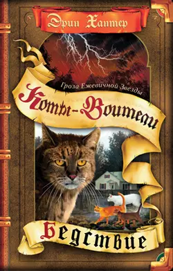 Коты-воители. Цикл "Гроза Ежевичной звезды". Бедствие. Хантер. 1