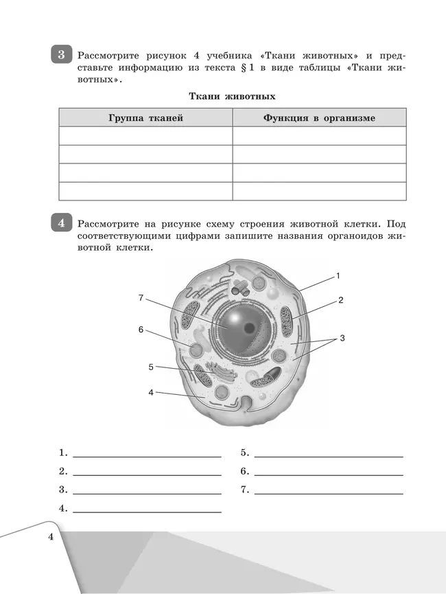 Биология. Рабочая тетрадь 7 класс 22