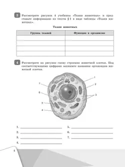 Биология. Рабочая тетрадь 7 класс 22
