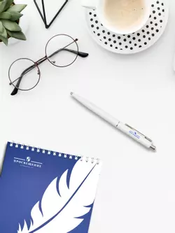 Ручка шариковая c логотипом издательства "Просвещение"  11