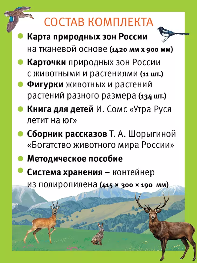 Путешествие по России утки Руси. Настольная игра 10 Путешествие по России утки Руси. Настольная игра 10