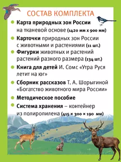 Путешествие по России утки Руси. Настольная игра 10