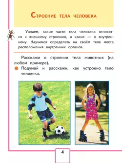 Окружающий мир. 2 класс. Учебное пособие. В 4 ч. Часть 3 (для слабовидящих обучающихся) 6