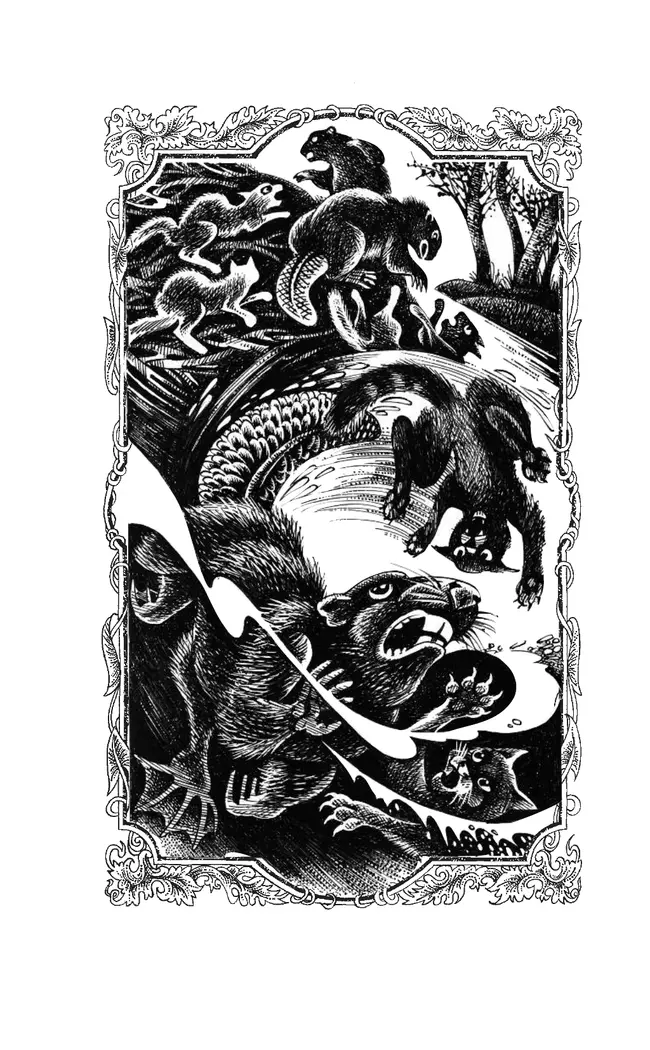 Коты-воители. Четвертый оруженосец Эрин Хантер 17