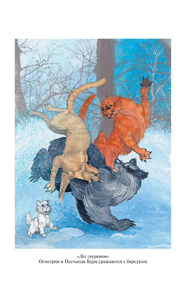 Коты-воители. Золотая коллекция. Лес секретов. Бушующая стихия. (новое оформление). 23