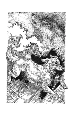 Хроники стаи. Тайный враг 53