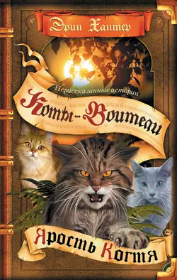 Сборник. Цикл "Нерассказанные истории". Ярость Когтя. 1