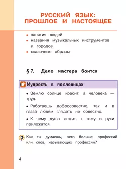 Русский родной язык. 3 класс. Учебное пособие. В 3 ч. Часть 2 (для слабовидящих обучающихся) 5