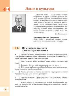 Русский родной язык. 6 класс. Учебник 13