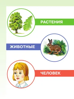 Мир природы и человека. 1 класс. Учебник. В 2 частях. Часть 2 (для обучающихся с интеллектуальными нарушениями) 9