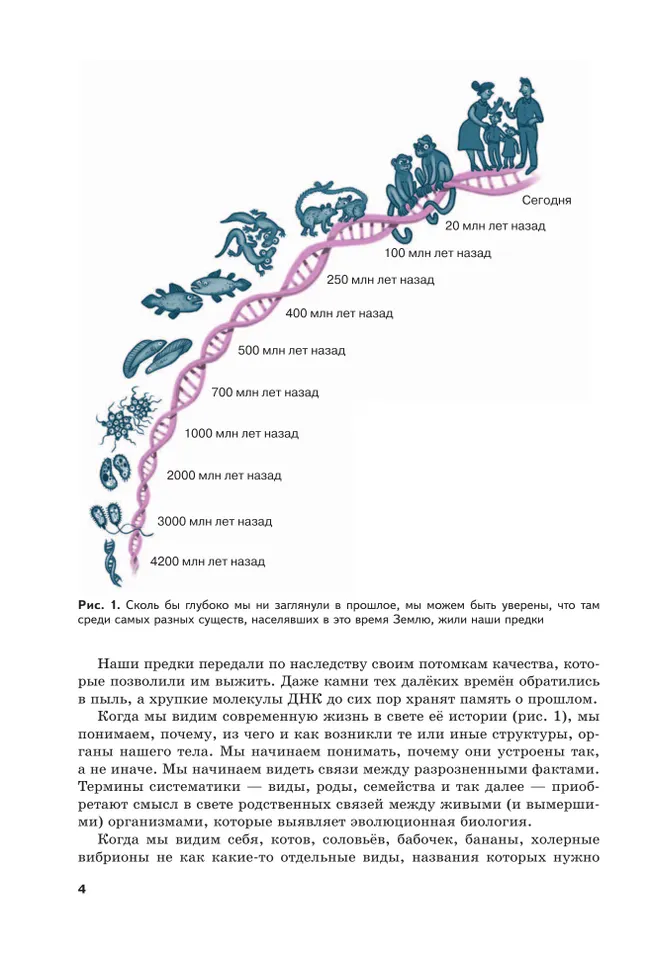 Жизнь в свете эволюции. 7-9 классы. Углублённый уровень. Учебное пособие 16