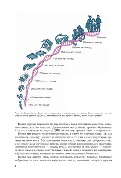 Жизнь в свете эволюции. 7-9 классы. Углублённый уровень. Учебное пособие 16