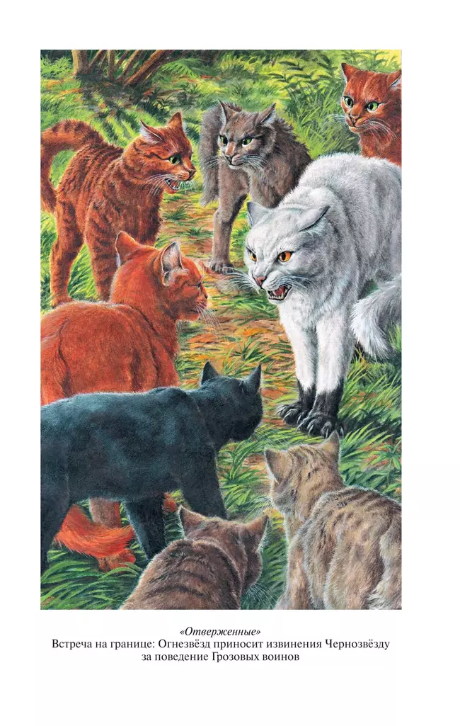 Коты-воители. Золотая коллекция. Отверженные. Затмение. 8