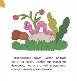 СПАСАТЕЛИ. Книжка-картинка для первого чтения. Матвеева Е. 9