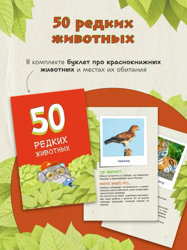Голова-Хвост. Настольная игра 38