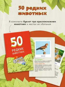 Голова-Хвост. Настольная игра 38