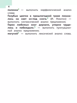Русский язык. 5 класс. Учебное пособие. В 5 ч. Часть 5 (для слабовидящих обучающихся) 8