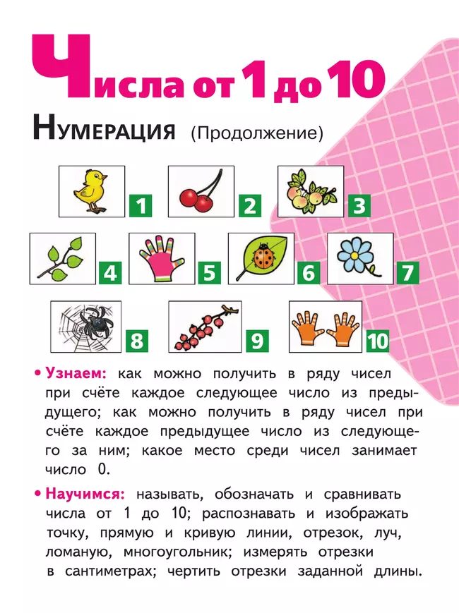 Математика. 1 класс. Учебное пособие. В 4 ч. Часть 2 (для слабовидящих обучающихся) 6