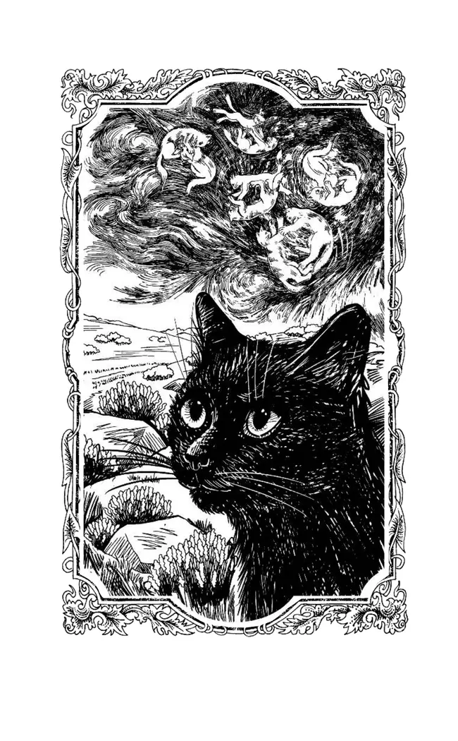 Коты воители. Испытание Грача. Тени прошлого 19