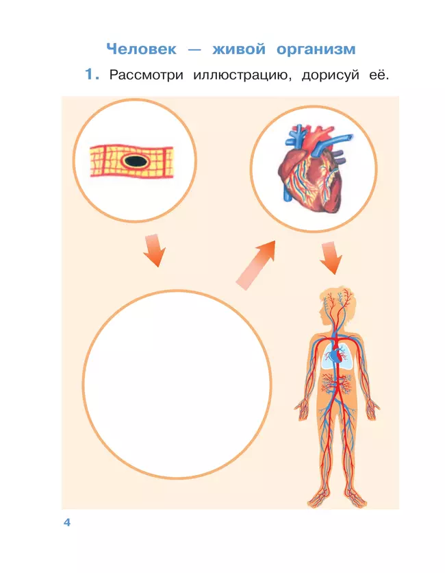 Окружающий мир. 4 класс. Рабочая тетрадь. В 2 частях. Часть 1 7 Окружающий мир. 4 класс. Рабочая тетрадь. В 2 частях. Часть 1 7